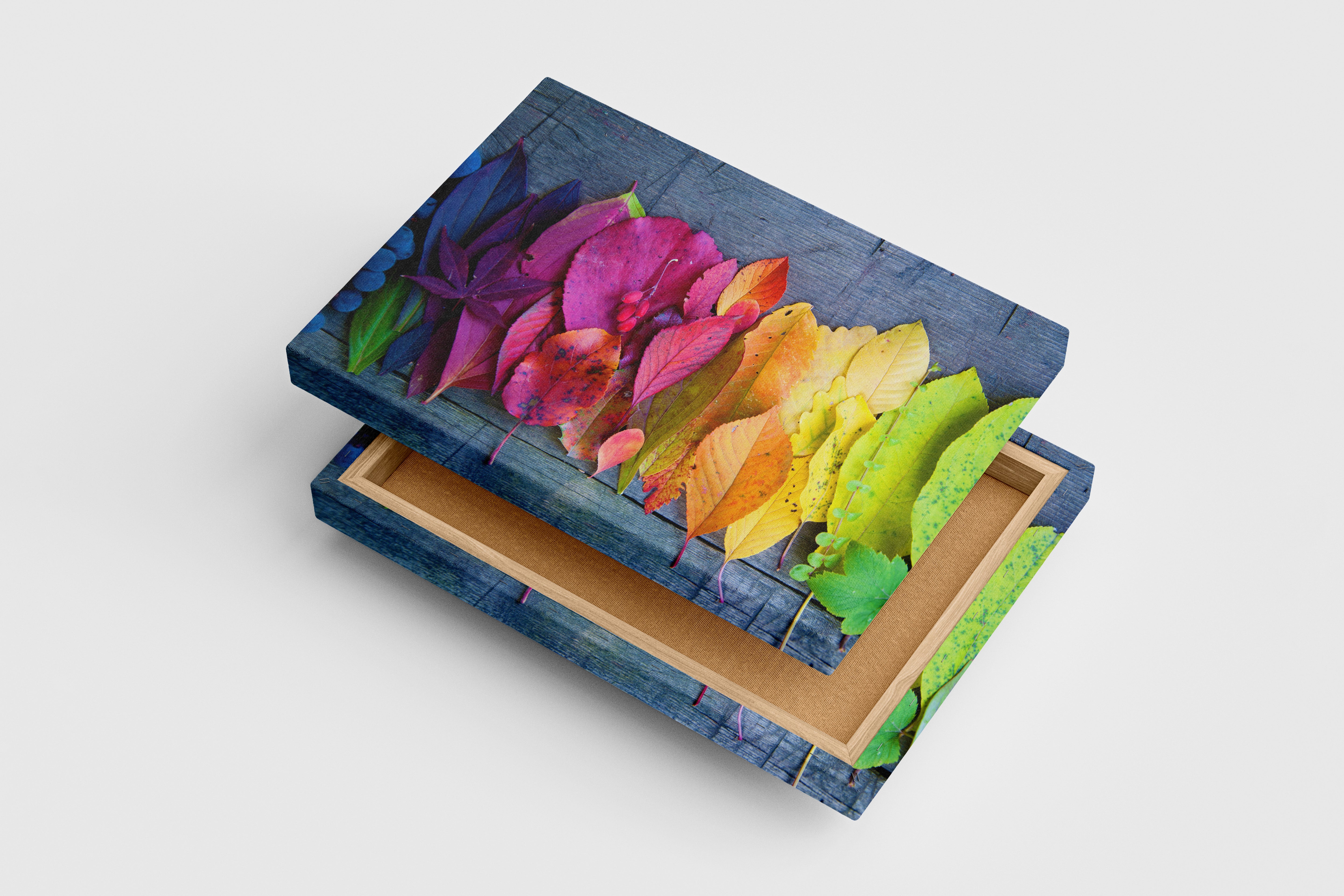 a beautiful rainbow gradient of colorful autumn leaves on a rustic wooden background, art, kanvas tablo