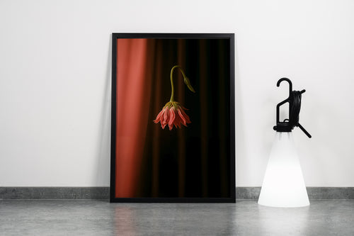ai creation, flower motif, pale rose-colored carnation, ai art, art, kanvas tablo