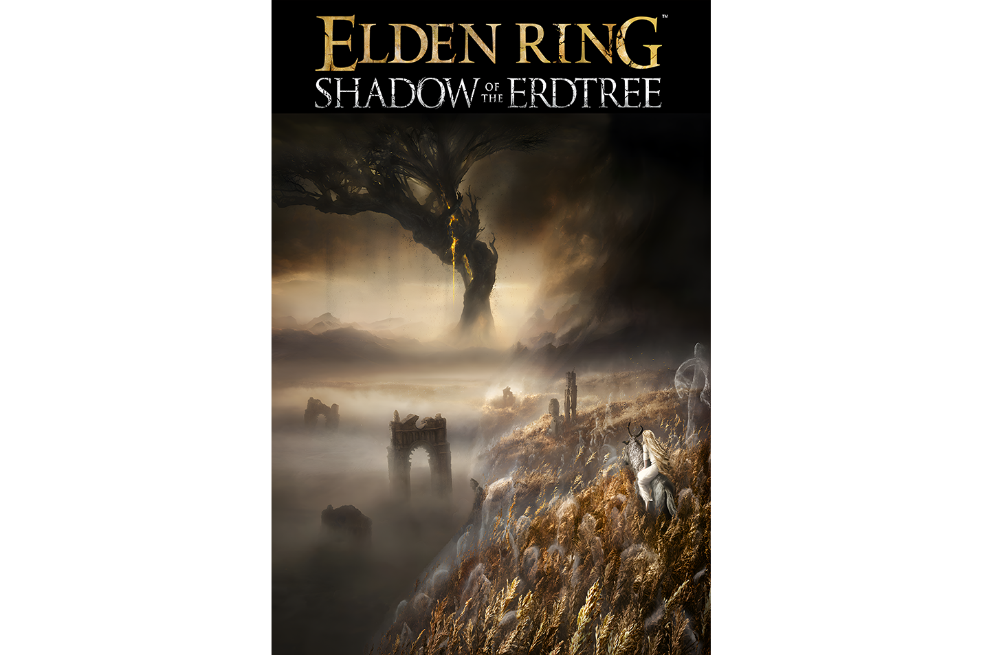 pc game, elden ring model 3, art, kanvas tablo