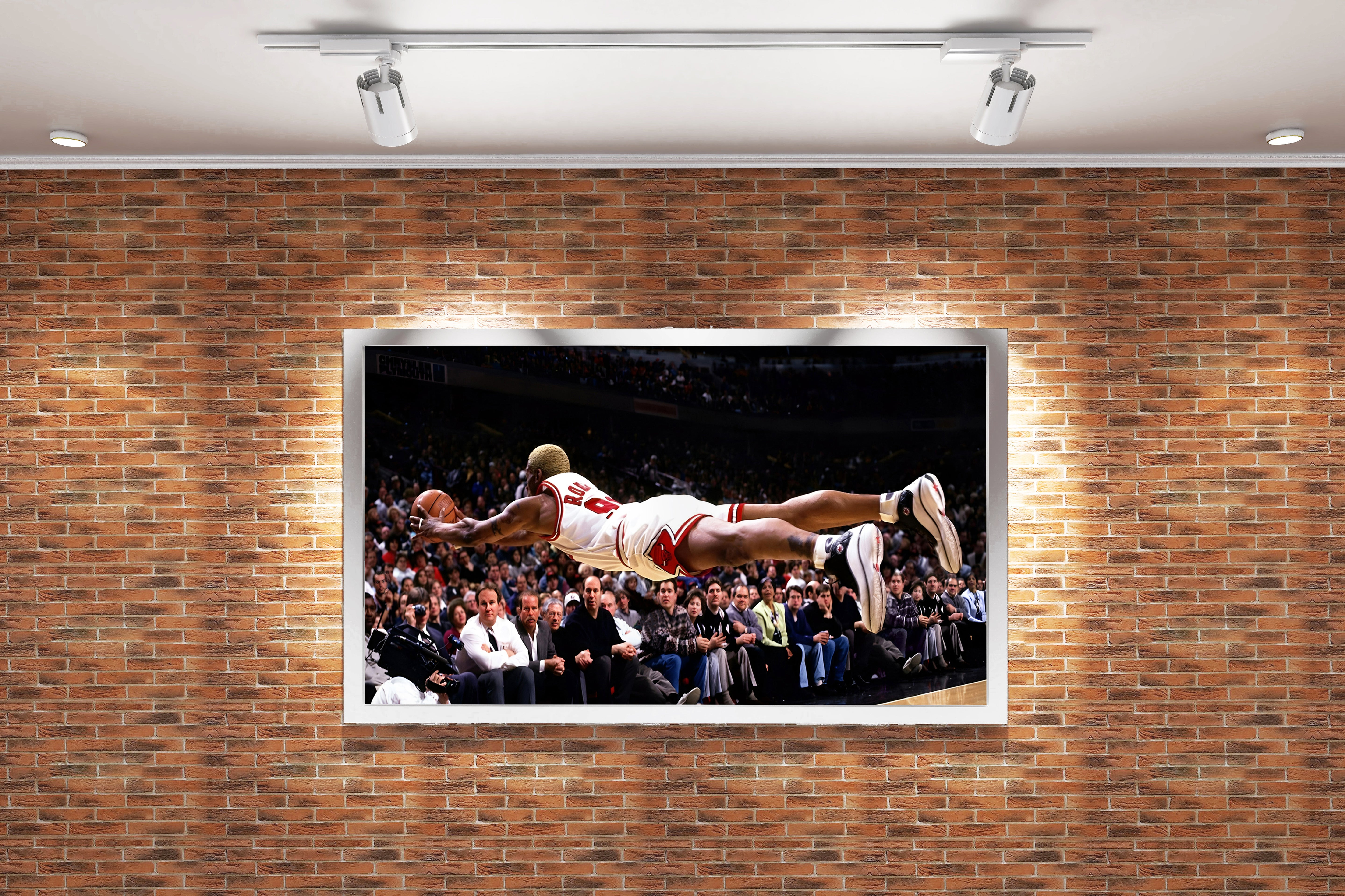 dennis rodman flying man, sport, kanvas tablo